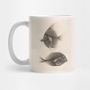 X-Ray of a Moorish Idol and a Ringtail Surgeonfish Mug